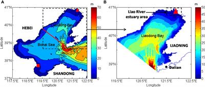 Application of interpolation methodology with dynamical constraint to the suspended particulate matter in the Liaodong Bay